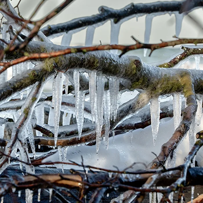 Winterostsee 7