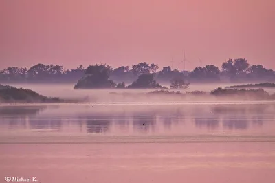 Morgens am Gülper See
