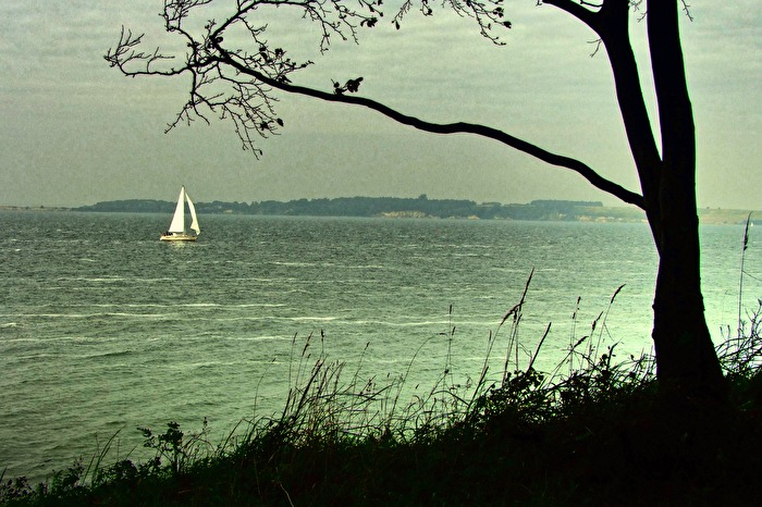 sailing home
