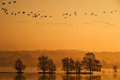 Morgenstimmung am Tister Bauernmoor