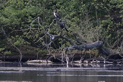 Auf der anderen Seite des See´s