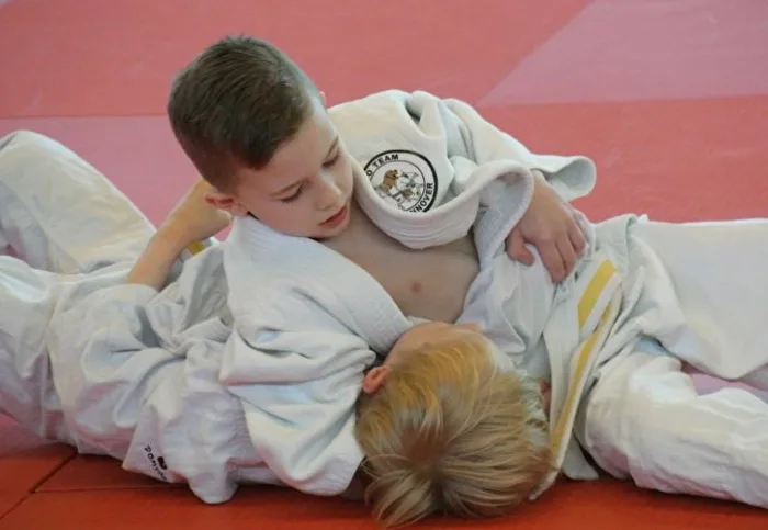 Judo, Haltegriff