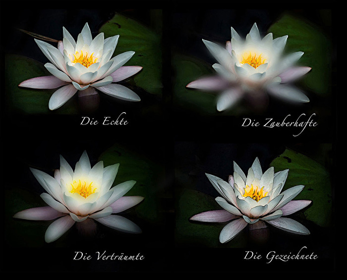 Aus 1 mach 4, und aus 4 wieder 1... ;-)