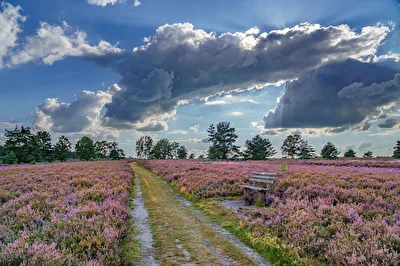 Dramatischer Himmel über der Heide