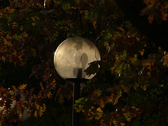 Herbstlicht