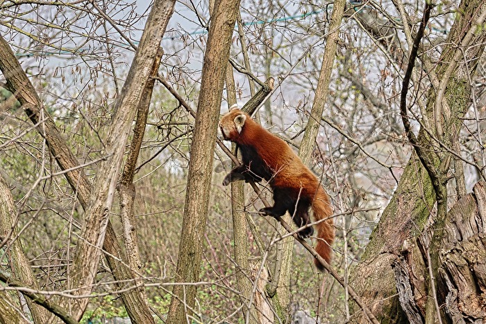 ......doch lieber rauf