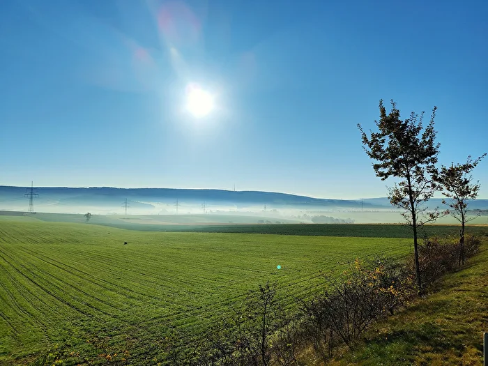 Morgennebel im Erzgebirge