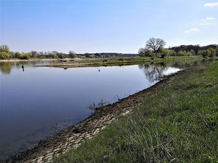 Elbe Saale Estuary