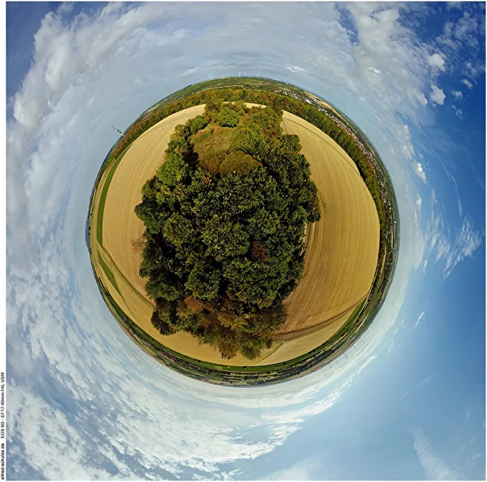 Rheinhessen near Alzey
