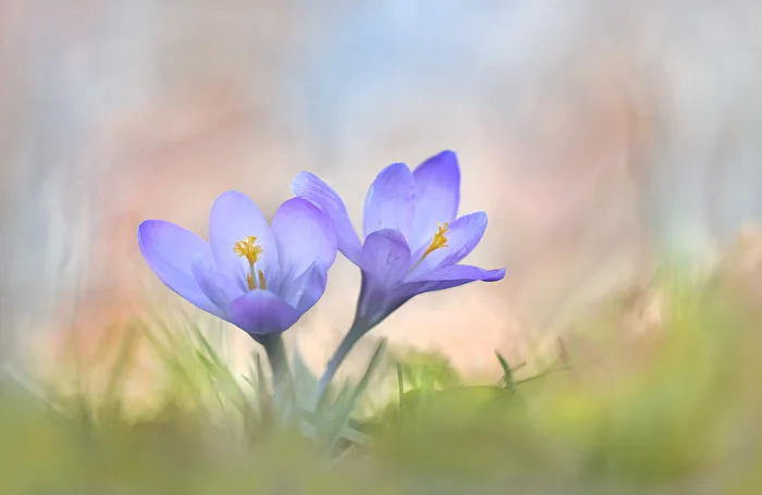 Springtime