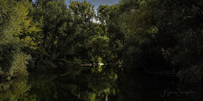Urwald