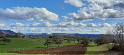 Weitblick