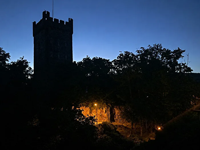 Bingen - Burg Klopp - Silhouette
