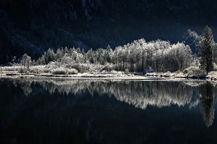 Winterfrost