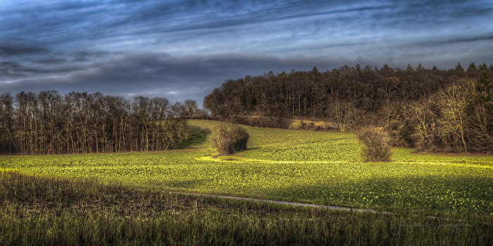 Winterfeld