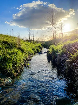 Ein Bach in der Abendsonne