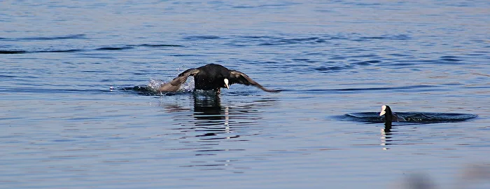 Attack