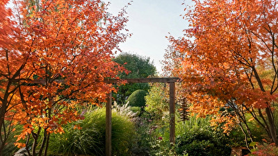 Pergola