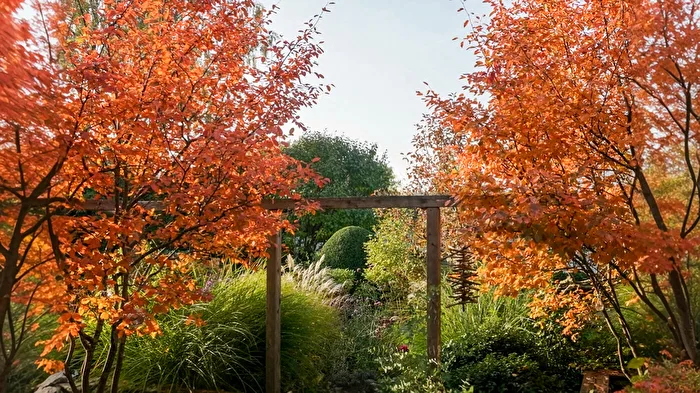 Pergola