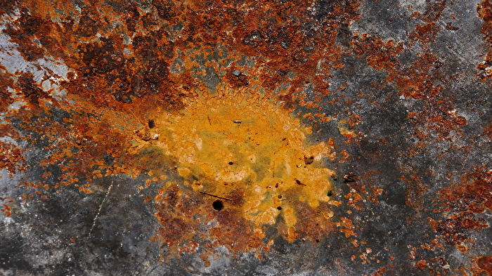 Rost