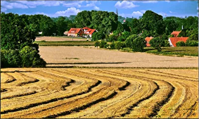Erntezeit