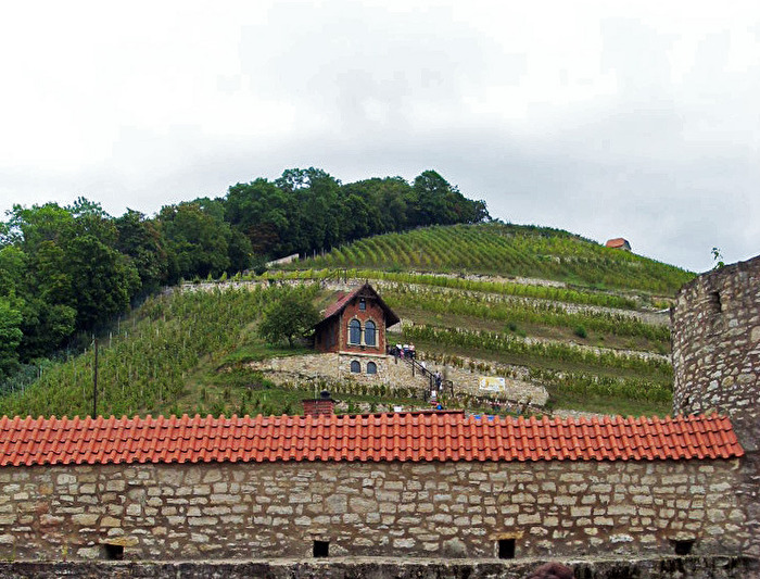 Schlifter-Weinberg bei Freiburg