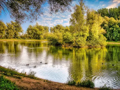 Sommer am See
