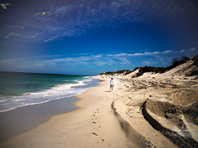 Walking a Beach