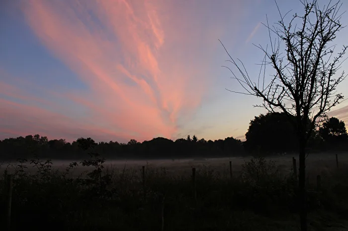 Herbstmorgen...