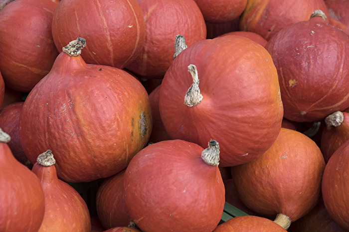 Herbstfrüchte