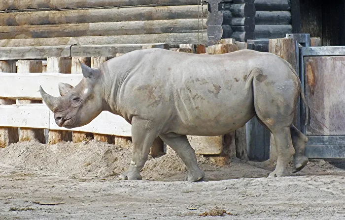 im Leipziger Zoo