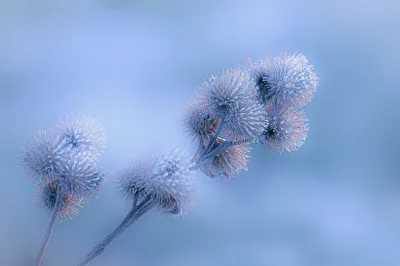 Nach frostiger Nacht