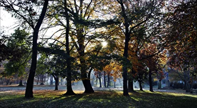 herbstlich