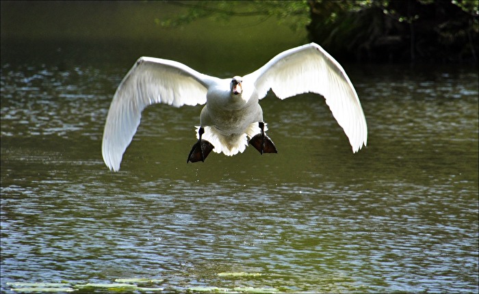 Achtung...jetzt komm ich