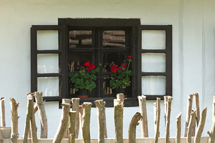 Windows in Hungary