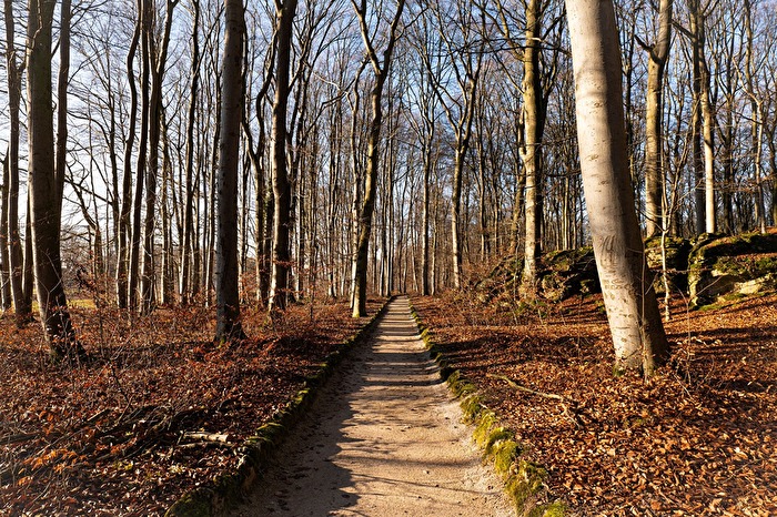 Möge der Weg...