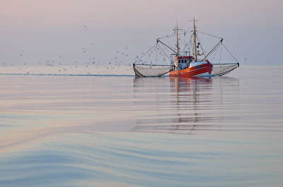 Nordsee-fang