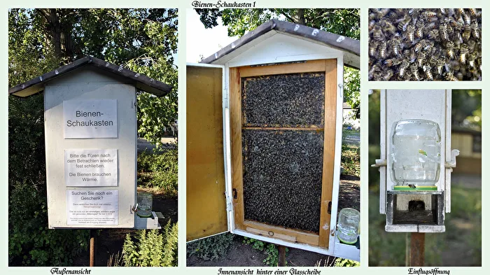 Bienen