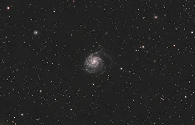 M101