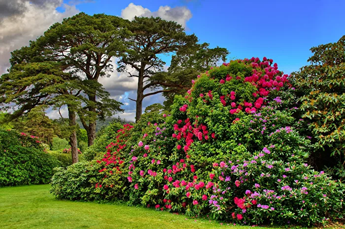 Park - Irgendwo in Irland