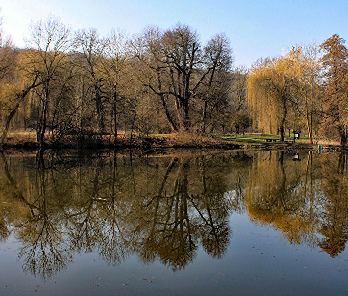 Wasser