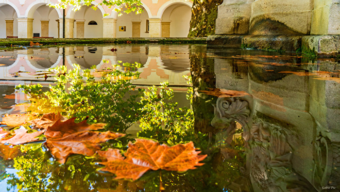 Herbst im Stift Heiligenkreuz bei Wien