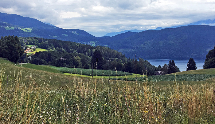 Landschaft