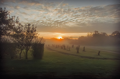 The Fog