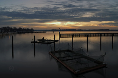 Netze in der Morgenstunde