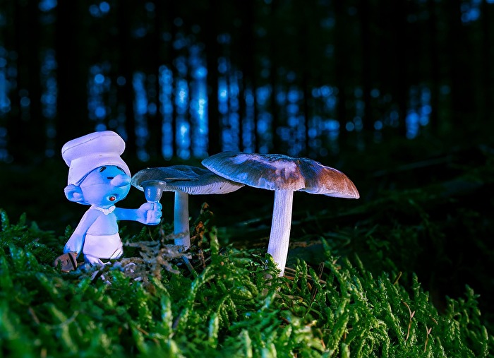 Der Schlumpf im natürlichen Habitat