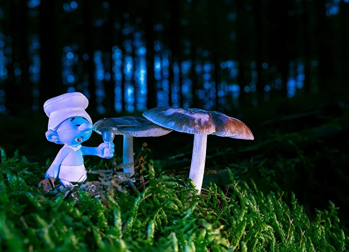 Der Schlumpf im natürlichen Habitat