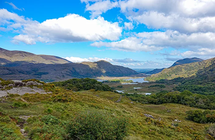 Ladies’ View