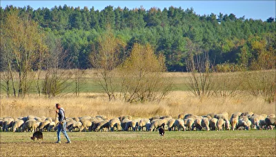Freiheitssymbole