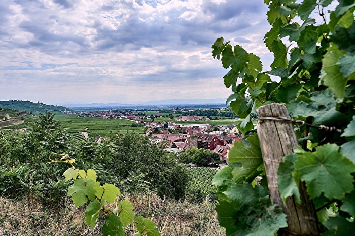 Im schönen Elsass - auf der Burg in Kaysersberg